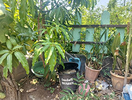 Image 1-3